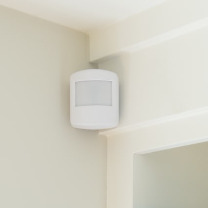 Baton Rouge motion sensor