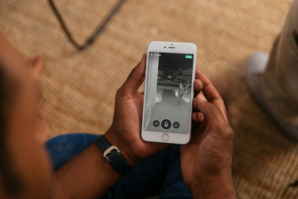 Pride LA security system